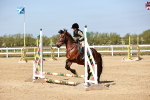 SBM_006803