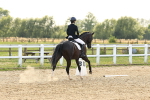 SBM_001892