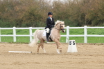SBM_006310