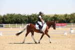 SBM_003399