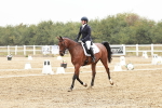 SBM_003861