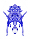 Blue Alien Bed Bug-0542