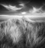 Wind Spirits