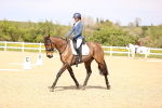 SBM_008388