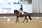 Class 5 - Novice 3 portfolio