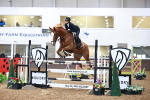 Class 11 - Senior Foxhunter 1.20m portfolio