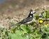 20110422-IMG_4703