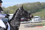 BPP_1555