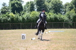 WJ6_4310