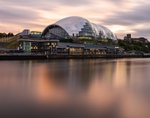 The Sage at sunset