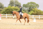 SBM_002045