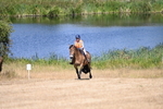 WJ6_8757