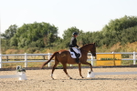 SBM_006878
