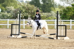SBM_006407