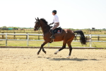 SBM_000903