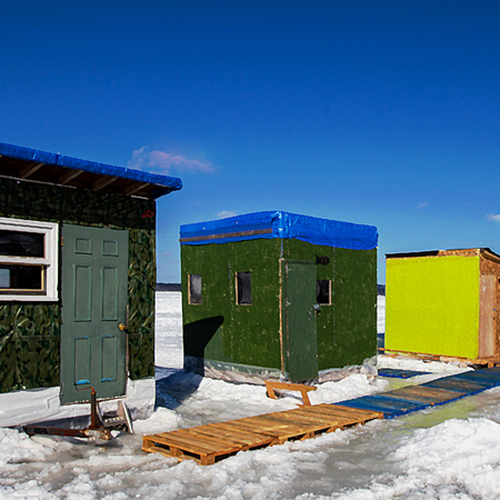 A row of ice fishing huts along the Kennebecasis river.