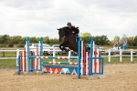 SBM_001148