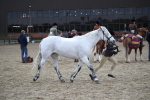 SBM_007287