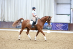 SBM_001536