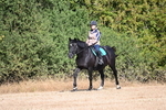 WJ6_7338