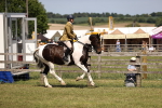 SBM_17841
