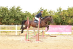 SBM_004983