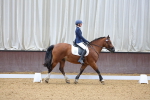 SBM_001261
