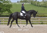 BPP_6907
