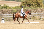 SBM_002906