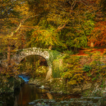 Co. Down portfolio