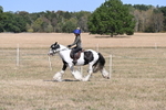 WJ6_8834