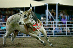 3HRodeo8-5-24_CFD_3HR-YUMA- 6144_