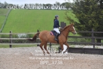 BPP_3738