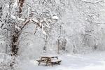 My own backyard...