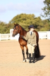 Class 402 - IH Veteran Pony portfolio