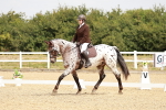 SBM_002734