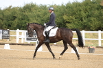SBM_008196