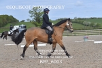 BPP_6003