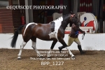 BPP_1227