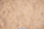 240506A-111734-08533