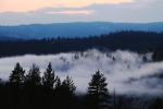 Nightime Fog in Yosemite