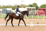 SBM_00932