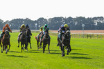 300824-Race 5-Shesashambles-6184