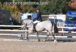 BPP_8507