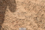 230906A-104404-00063