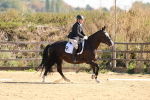 SBM_009880