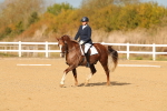 SBM_009282