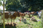 North Show_2014-13