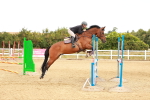 SBM_005936