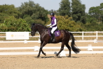 SBM_005673